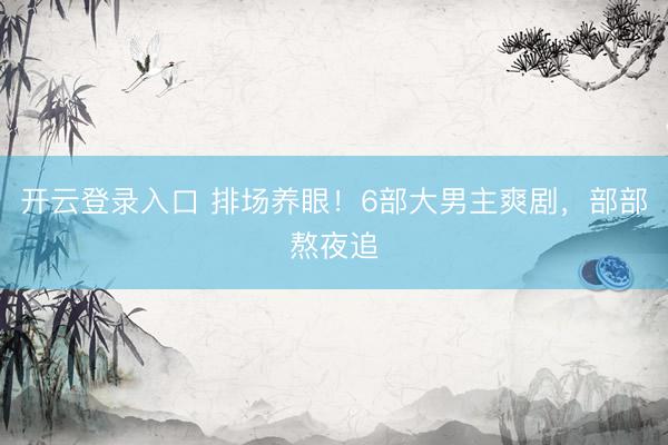 开云登录入口 排场养眼！6部大男主爽剧，部部熬夜追